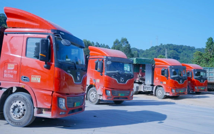 零碳先鋒 | 百臺(tái)徐工新能源助力福建客戶成功創(chuàng)富！